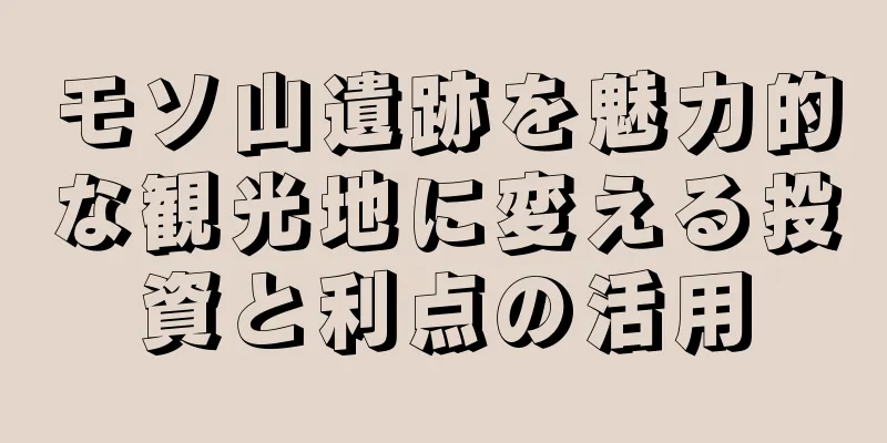 モソ山遺跡を魅力的な観光地に変える投資と利点の活用