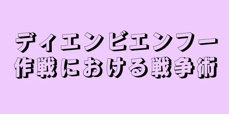 ディエンビエンフー作戦における戦争術
