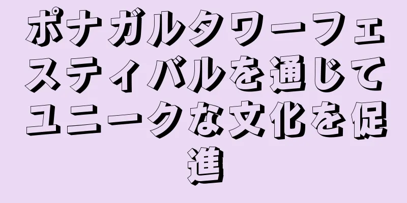 ポナガルタワーフェスティバルを通じてユニークな文化を促進