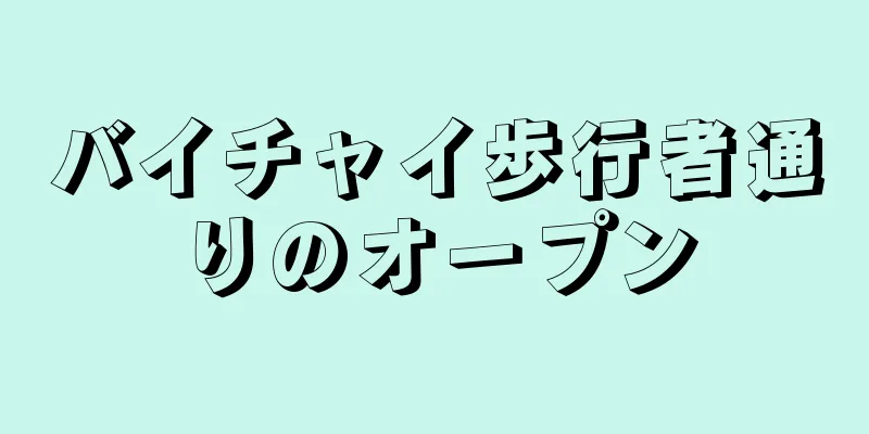 バイチャイ歩行者通りのオープン
