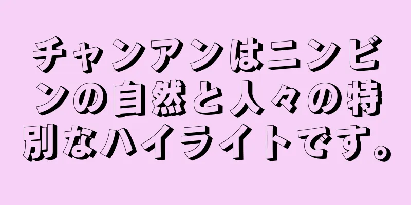 チャンアンはニンビンの自然と人々の特別なハイライトです。