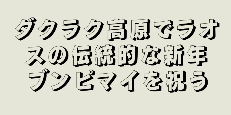 ダクラク高原でラオスの伝統的な新年ブンピマイを祝う
