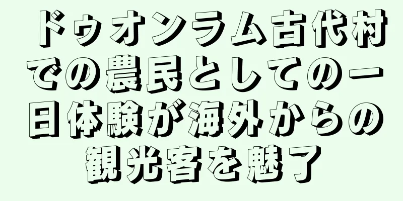 ドゥオンラム古代村での農民としての一日体験が海外からの観光客を魅了