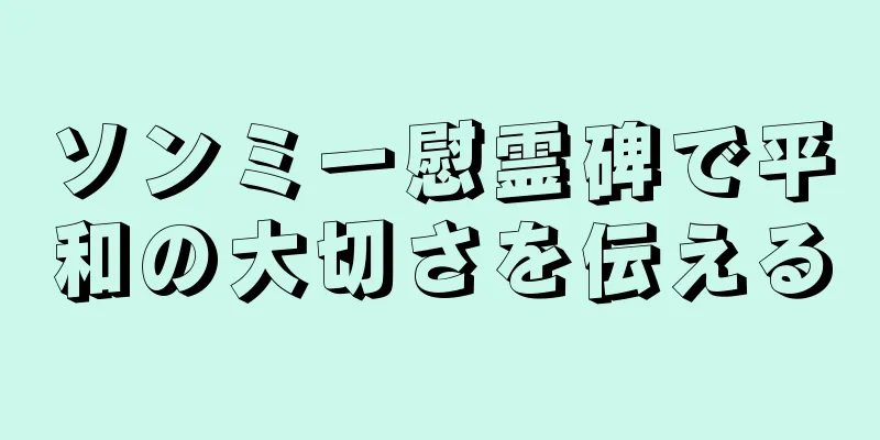 ソンミー慰霊碑で平和の大切さを伝える