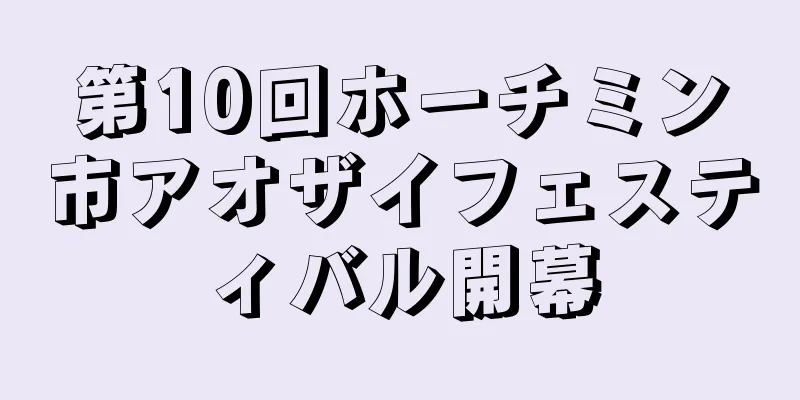 第10回ホーチミン市アオザイフェスティバル開幕