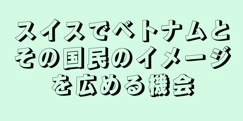 スイスでベトナムとその国民のイメージを広める機会