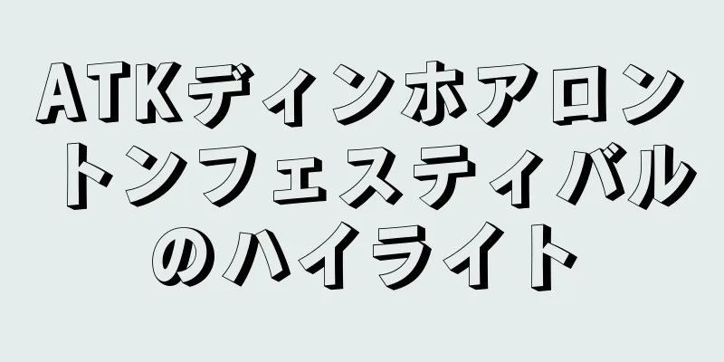ATKディンホアロントンフェスティバルのハイライト