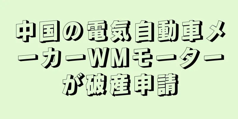中国の電気自動車メーカーWMモーターが破産申請