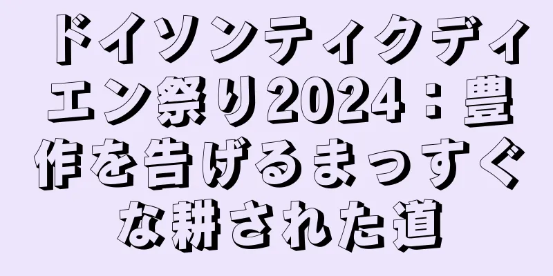 ドイソンティクディエン祭り2024：豊作を告げるまっすぐな耕された道