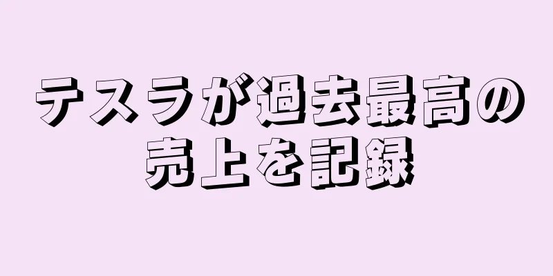 テスラが過去最高の売上を記録