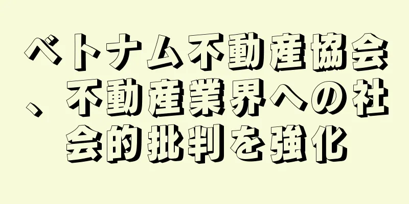 ベトナム不動産協会、不動産業界への社会的批判を強化