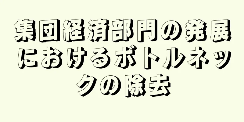 集団経済部門の発展におけるボトルネックの除去