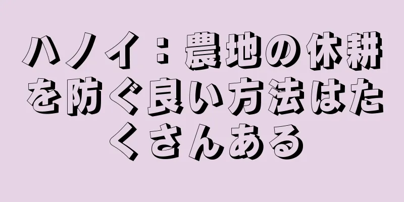 ハノイ：農地の休耕を防ぐ良い方法はたくさんある