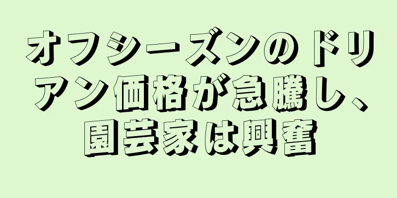 オフシーズンのドリアン価格が急騰し、園芸家は興奮