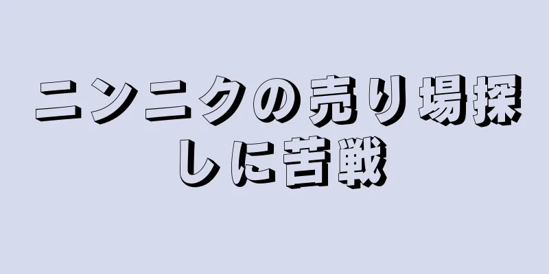 ニンニクの売り場探しに苦戦