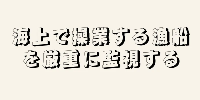 海上で操業する漁船を厳重に監視する