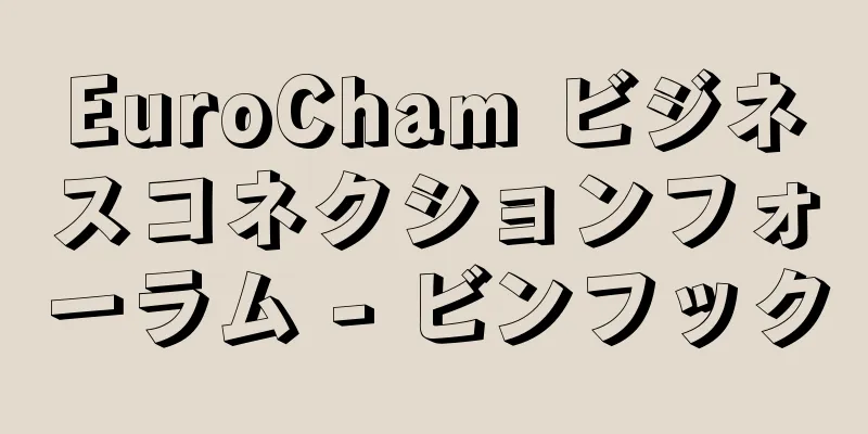EuroCham ビジネスコネクションフォーラム - ビンフック