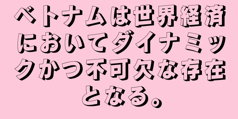 ベトナムは世界経済においてダイナミックかつ不可欠な存在となる。