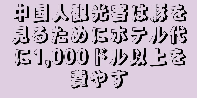 中国人観光客は豚を見るためにホテル代に1,000ドル以上を費やす