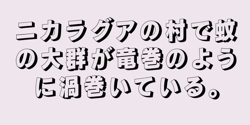 ニカラグアの村で蚊の大群が竜巻のように渦巻いている。