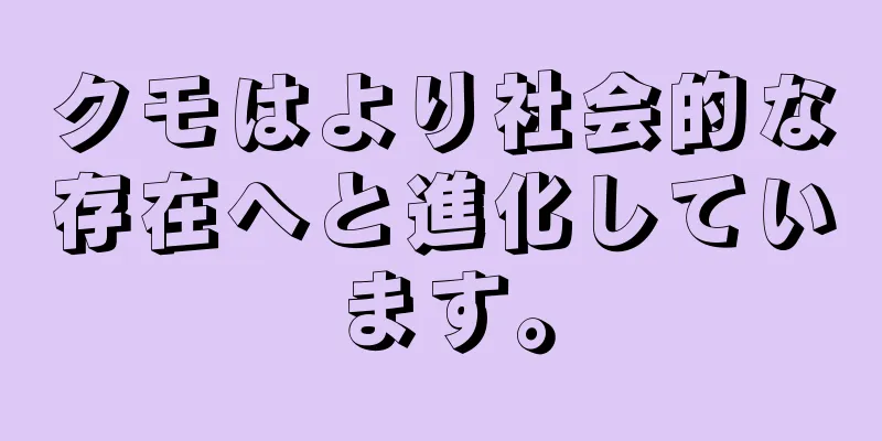クモはより社会的な存在へと進化しています。
