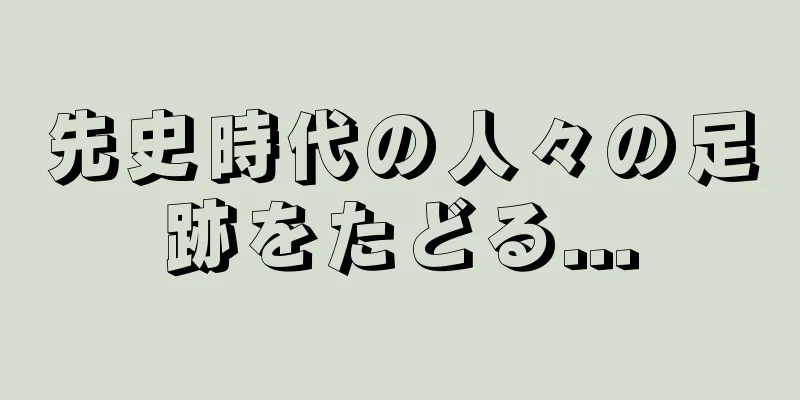 先史時代の人々の足跡をたどる...