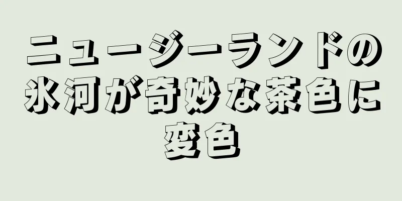 ニュージーランドの氷河が奇妙な茶色に変色