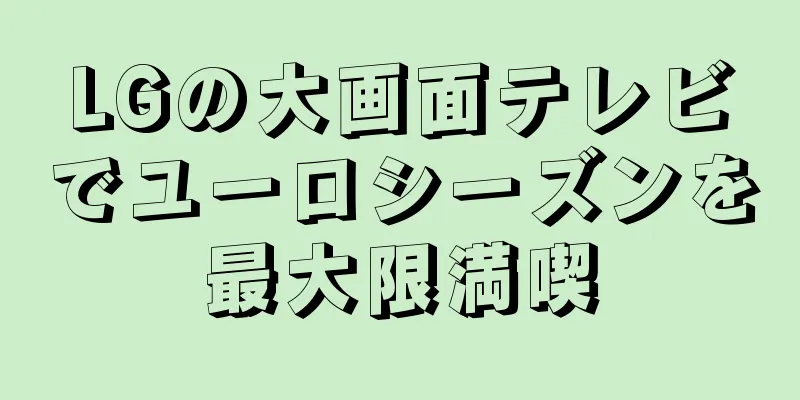LGの大画面テレビでユーロシーズンを最大限満喫