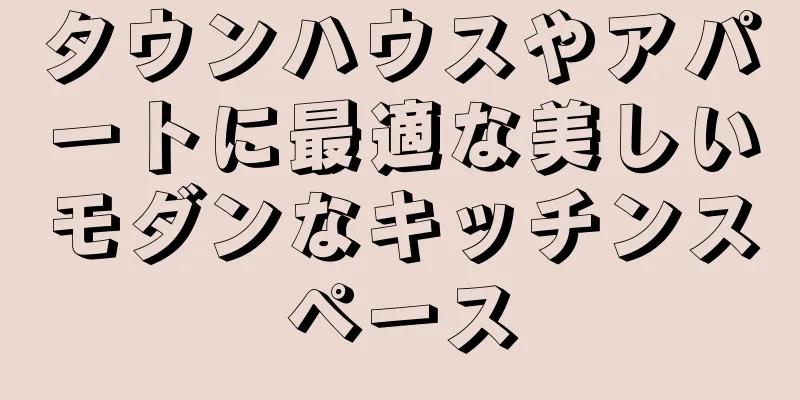 タウンハウスやアパートに最適な美しいモダンなキッチンスペース